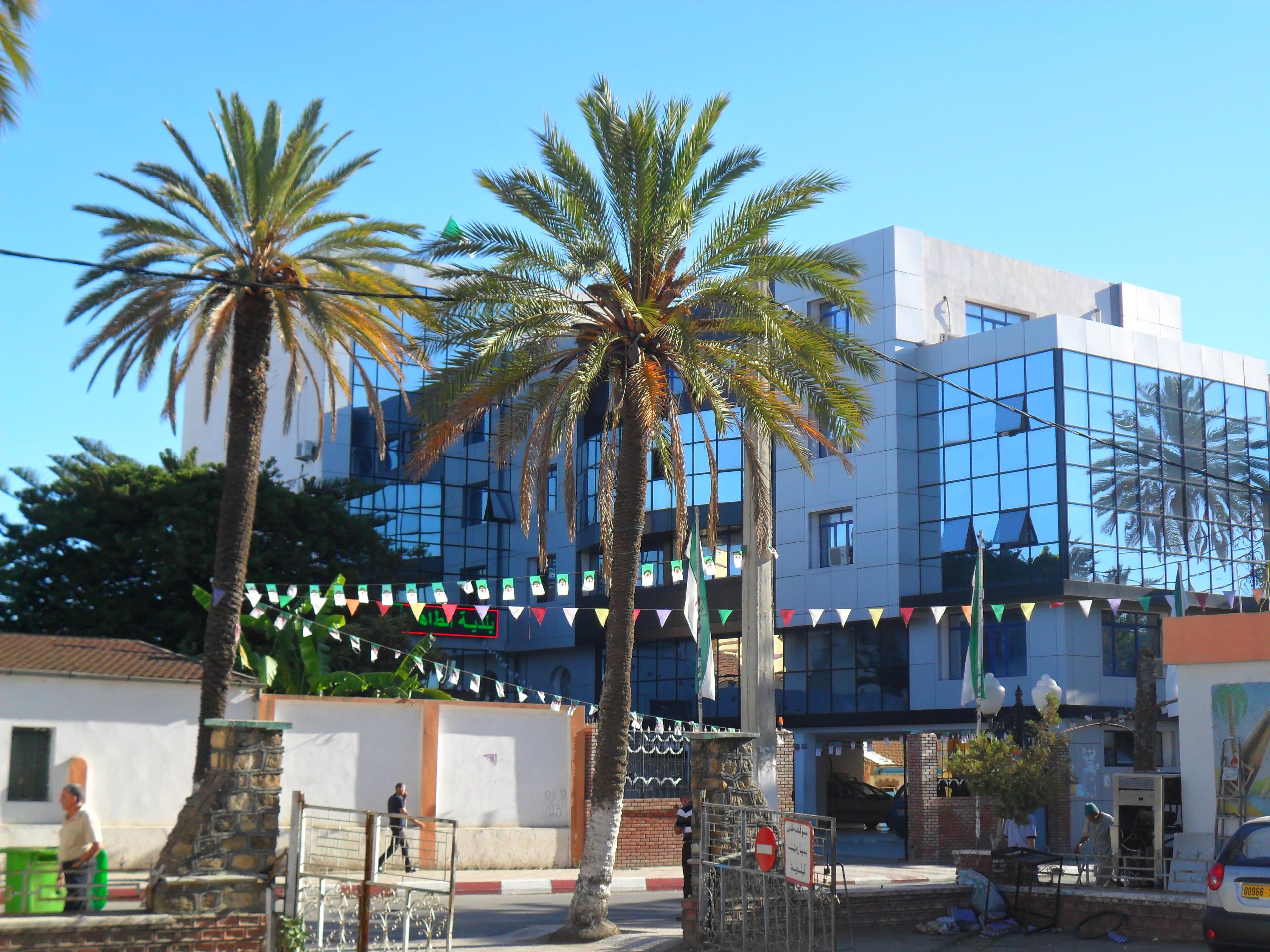 Taher Wadi