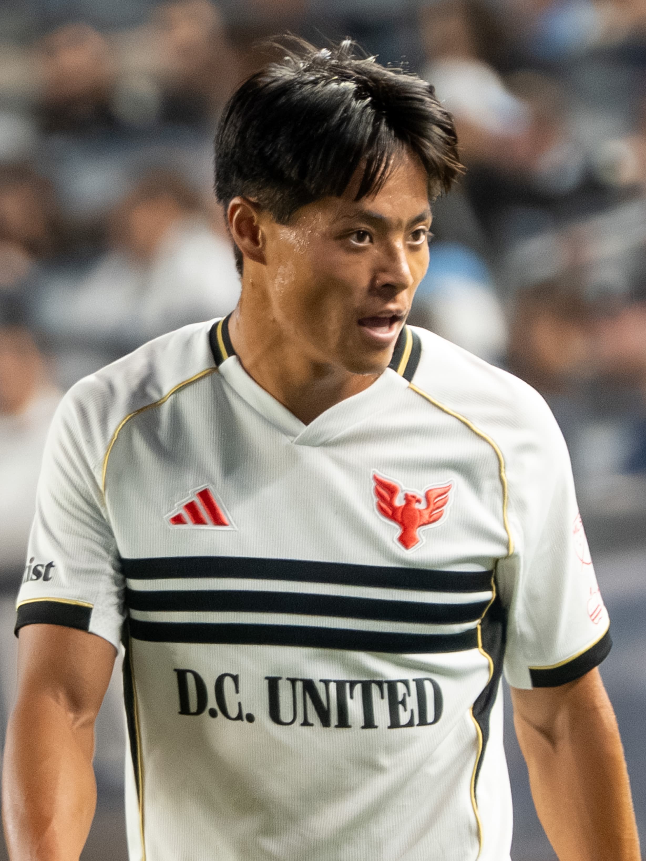 Hosei Kijima