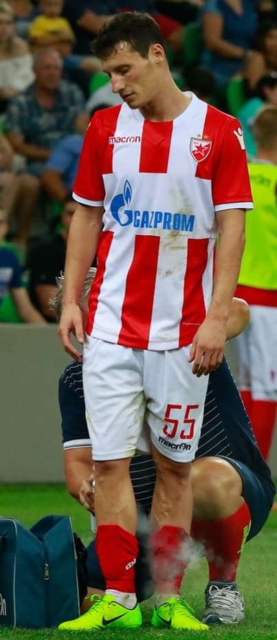 Slavoljub Srnic