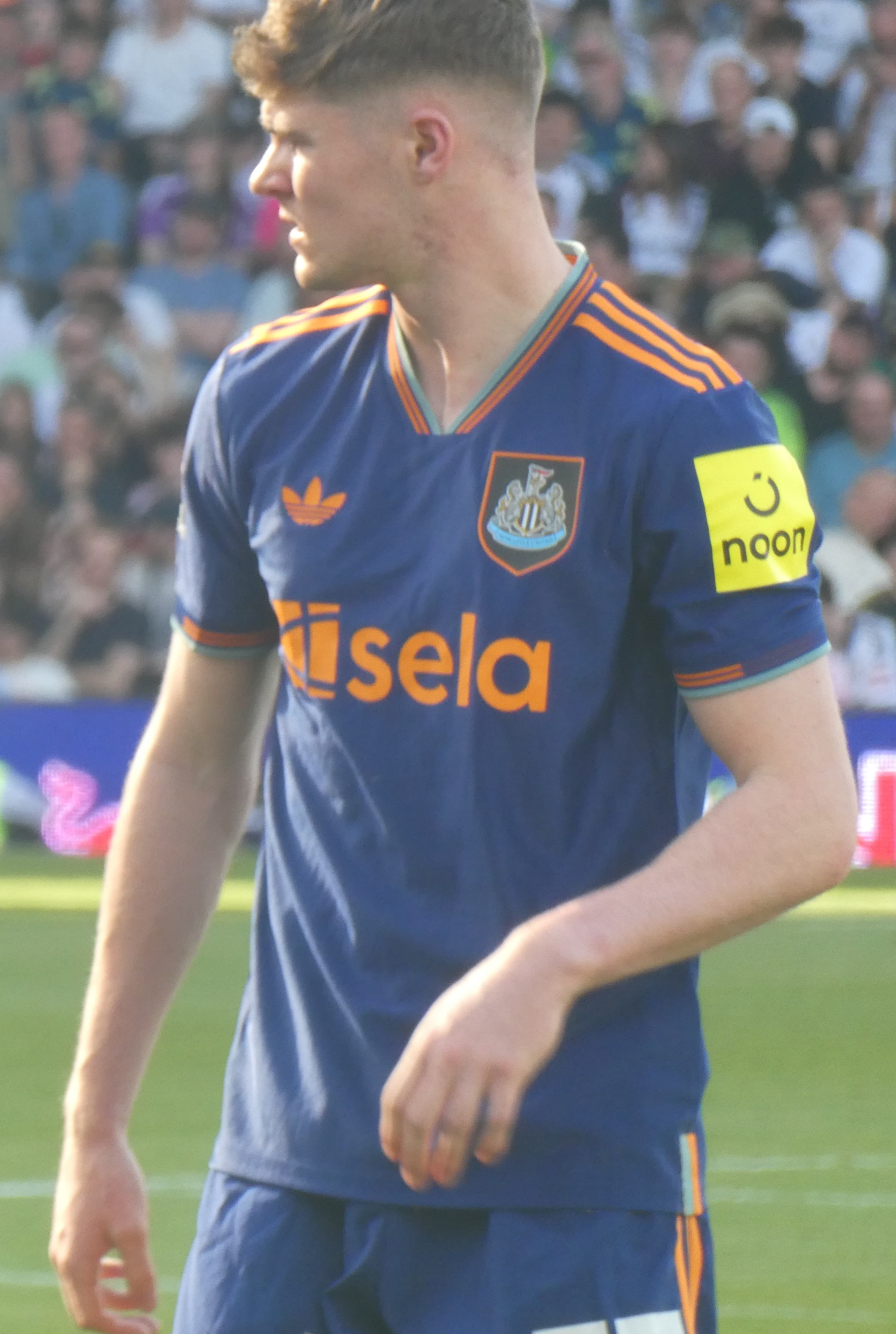 Alex